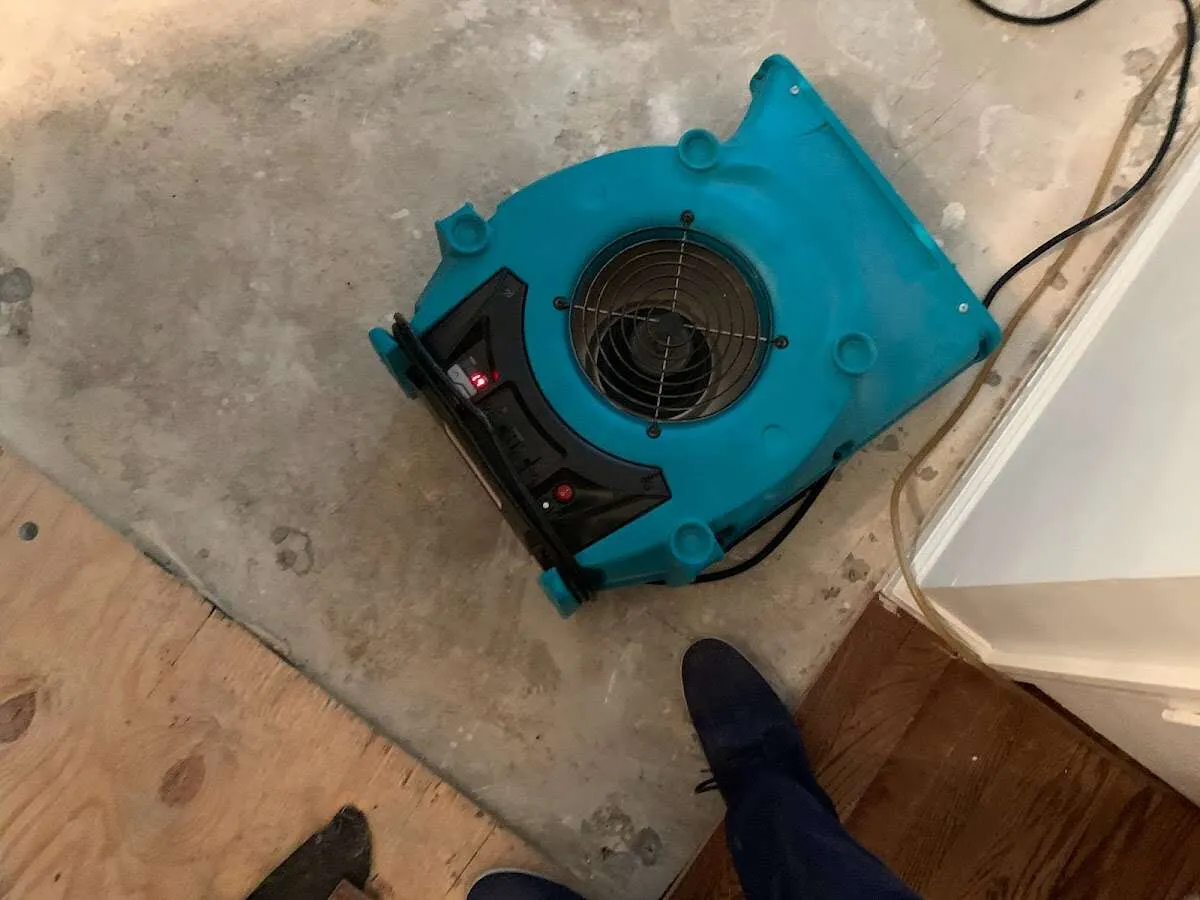 Air mover drying subfloor during Leak Detection & Repair in Washington